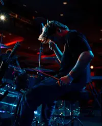 DogPaw Concert